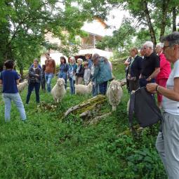 Sortie de fin d'année : 6 juin 2026 - La visite d'une ferme dans l'Ariège